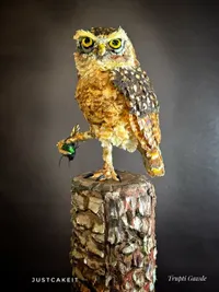 Custom Designer Cakes