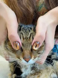 Nail Services