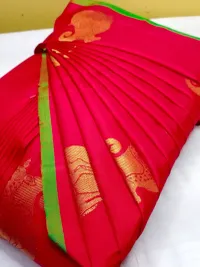 Saree Pre-pleating and Finishing