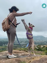 Pet-Friendly Adventures & Meetups