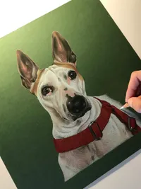 Pet Portrait Commissions