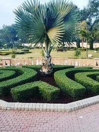Garden & Lawn Maintenance