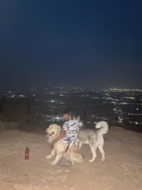 Dog Boarding (Homestay)