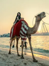 Fashion Photography