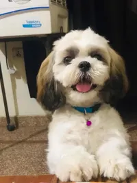 Bath & Brush