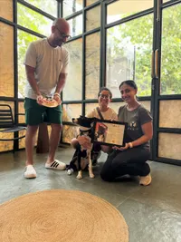 Dog Training & Behavior Modification