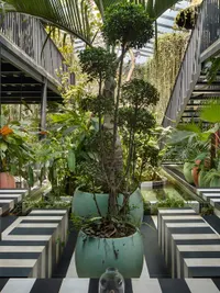 Commercial Interior Design