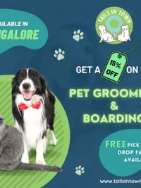 Pet Boarding & Daycare