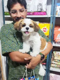 Pet Supplies