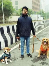 Dog Walking