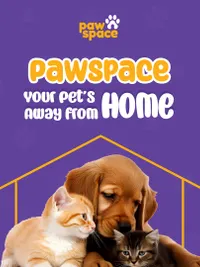 Pet Boarding & Sitting