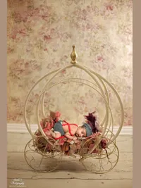 Newborn & Baby Photography