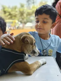 Animal Welfare & Adoption Services