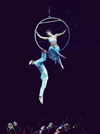 Aerial Arts Performance & Choreography