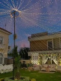Party & Celebration Decoration