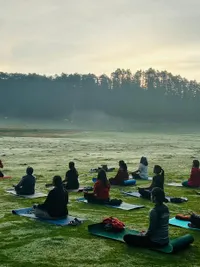 Yoga & Wellness Retreats