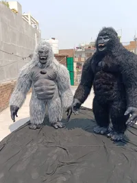 Mascot Costumes