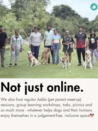 Online Pet Parent Community
