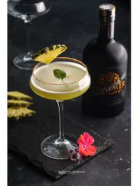 Product Photography