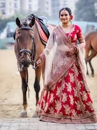 Equestrian Photoshoots