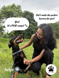 Handmade Pet Accessories