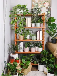 Plant & Gardening Supply Sales