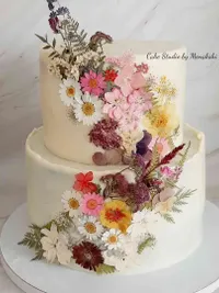 Special Occasion Cakes