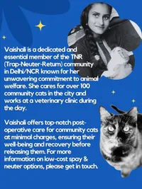 TNR Services