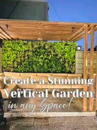 Vertical Garden & Green Wall Installation