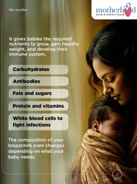 Lactation & Infant Feeding Support