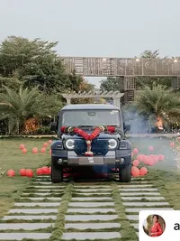 Surprise & Reveal Decorations