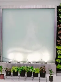 Interior Plantscaping