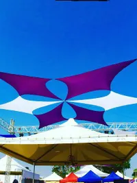 Event Art & Decor Installations