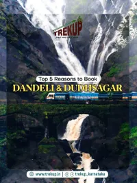 Adventure Travel Packages