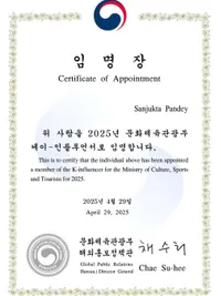 Hallyu & K-Culture Influencer Marketing