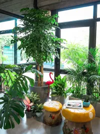 Plant & Gardening Supply Retail