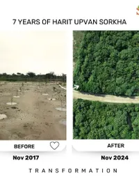 Ecosystem & Habitat Restoration