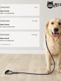 Pet Transportation & Dog Walking