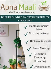 Garden & Plant Maintenance