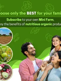 Organic Produce Delivery