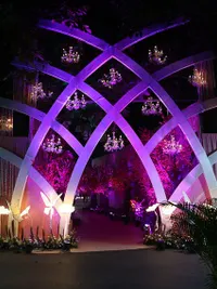 Event Decor & Styling