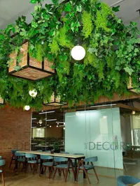 Corporate Plant Rental & Maintenance