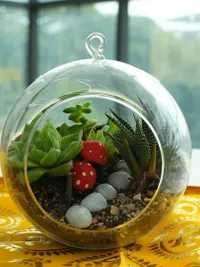 Adult Craft Workshops