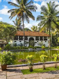 Ayurvedic Wellness & Rejuvenation Retreats