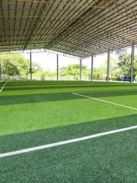 Sports & Recreation Turf