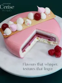 Custom Entremet Cakes