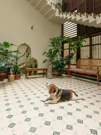 Interior Design & Renovation