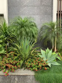 Garden Maintenance