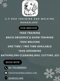 Dog Grooming