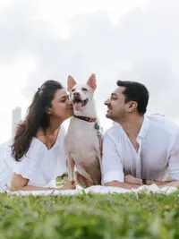 Pet Photography
